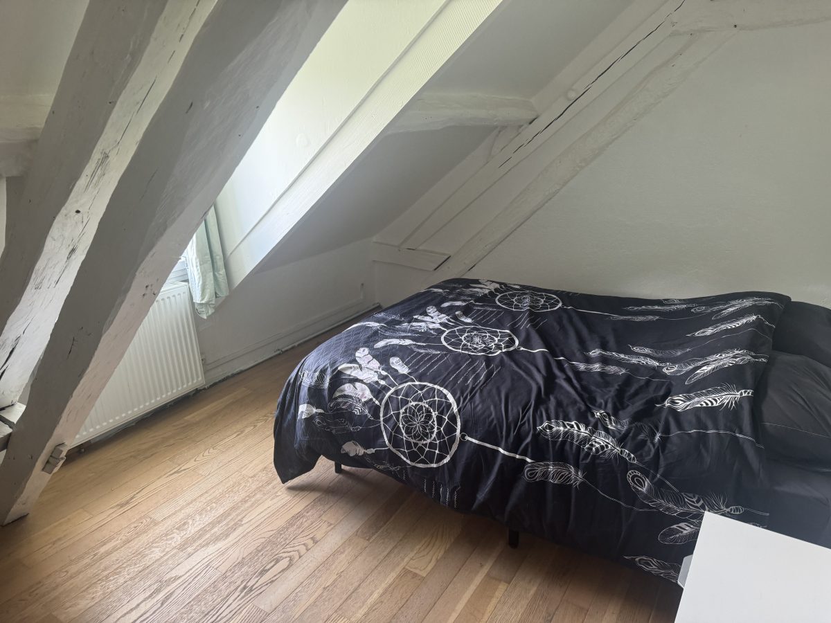 IMG_0815-e51916d803b6a207505777e63e11369c