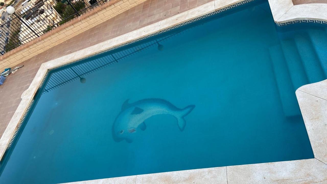 558564459