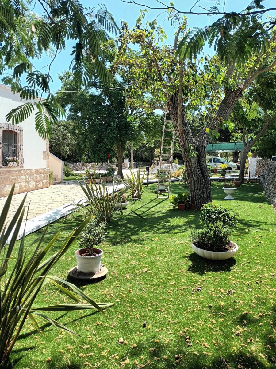 WhatsApp-Image-2024-11-30-at-18.30.23-2384bf2c7720bd60b3e02255f676eee0