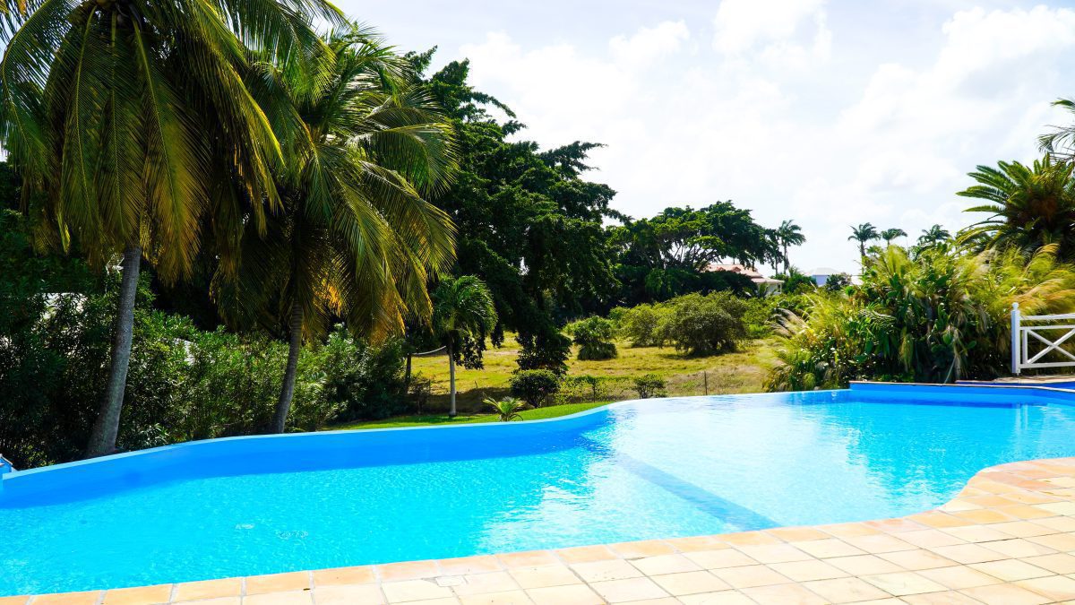 DSC02204-b96877d5a3ea3713da185d475d7ae603