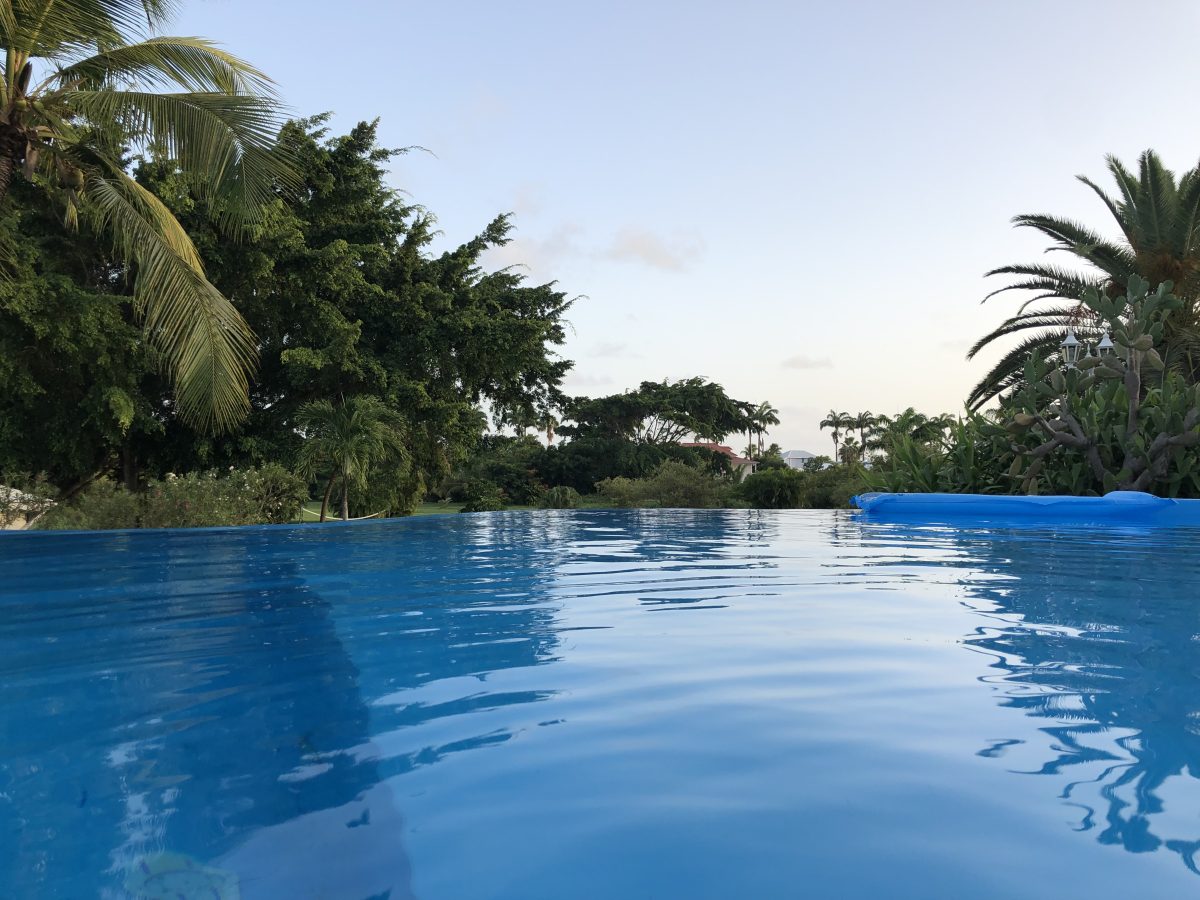 IMG_2290-0e6a5f3f199817900ef4f21bf0f055d4