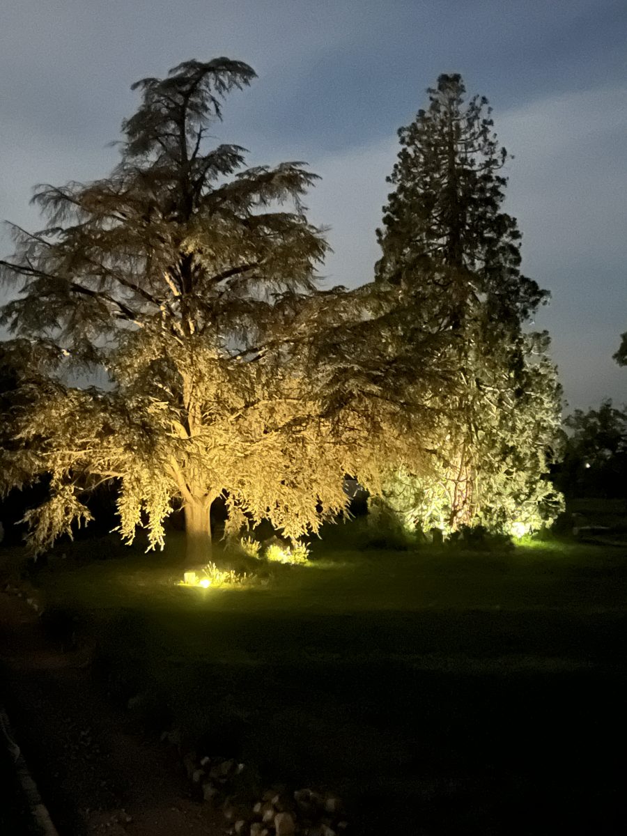 IMG_2921-b5411ec40f05e9b16432e6c4fc673f1d