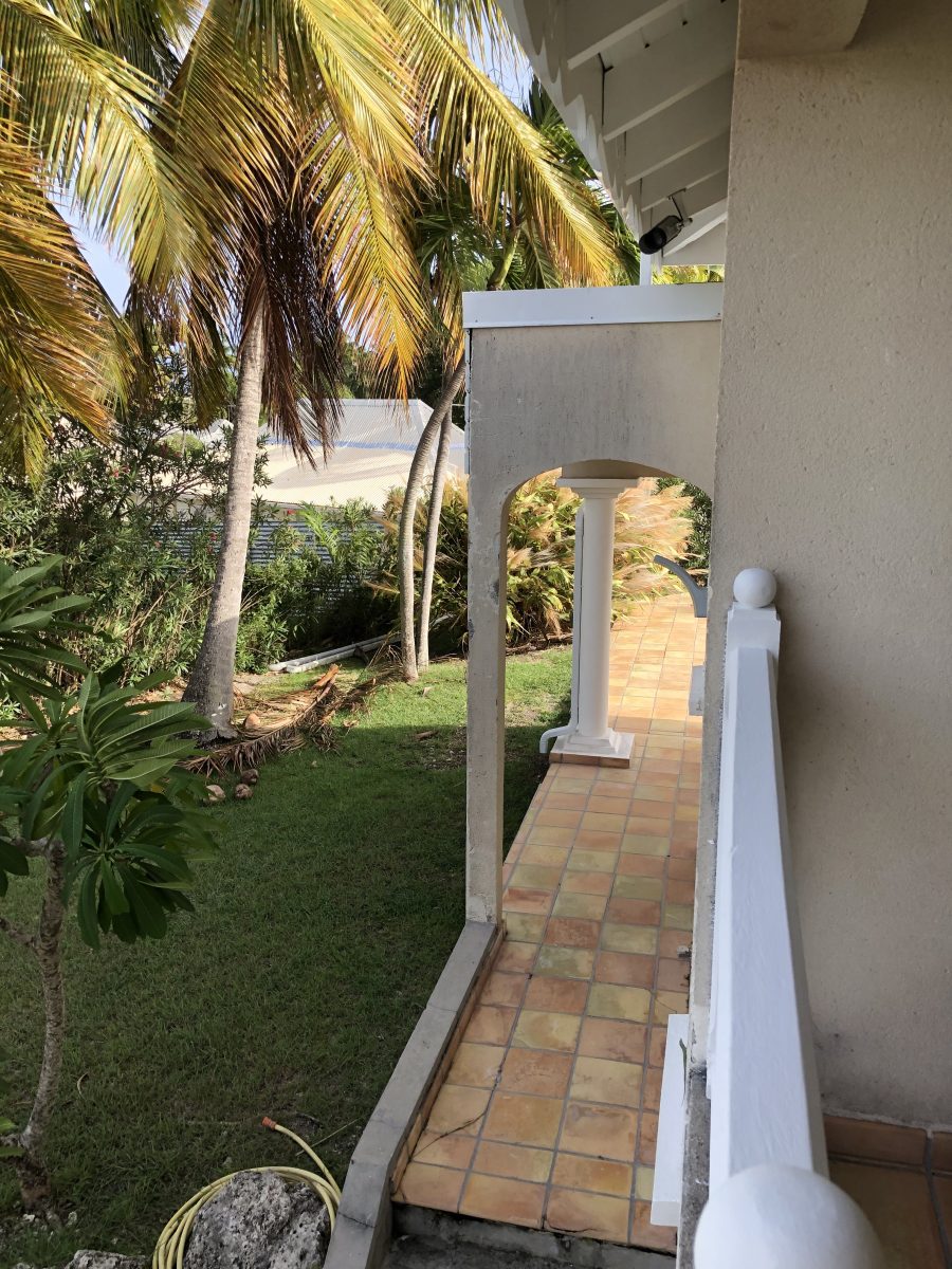 IMG_3537-b19103cafbf49e76cf549592114fe53e