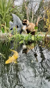 chat-35a326c1fe2914f3d04179e892af30eb