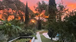 jardin2-a7b0423c0983cb7d1bf371b1ea219063