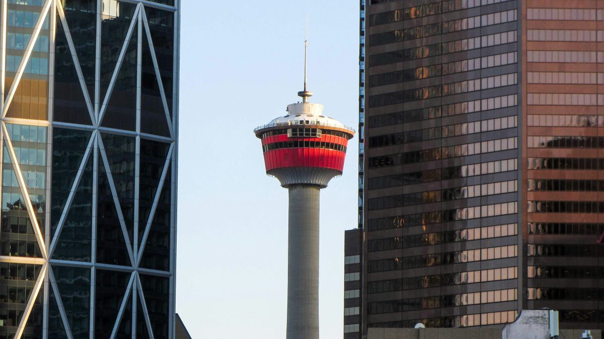 La tour de Calgary : Une vue imprenable sur la ville