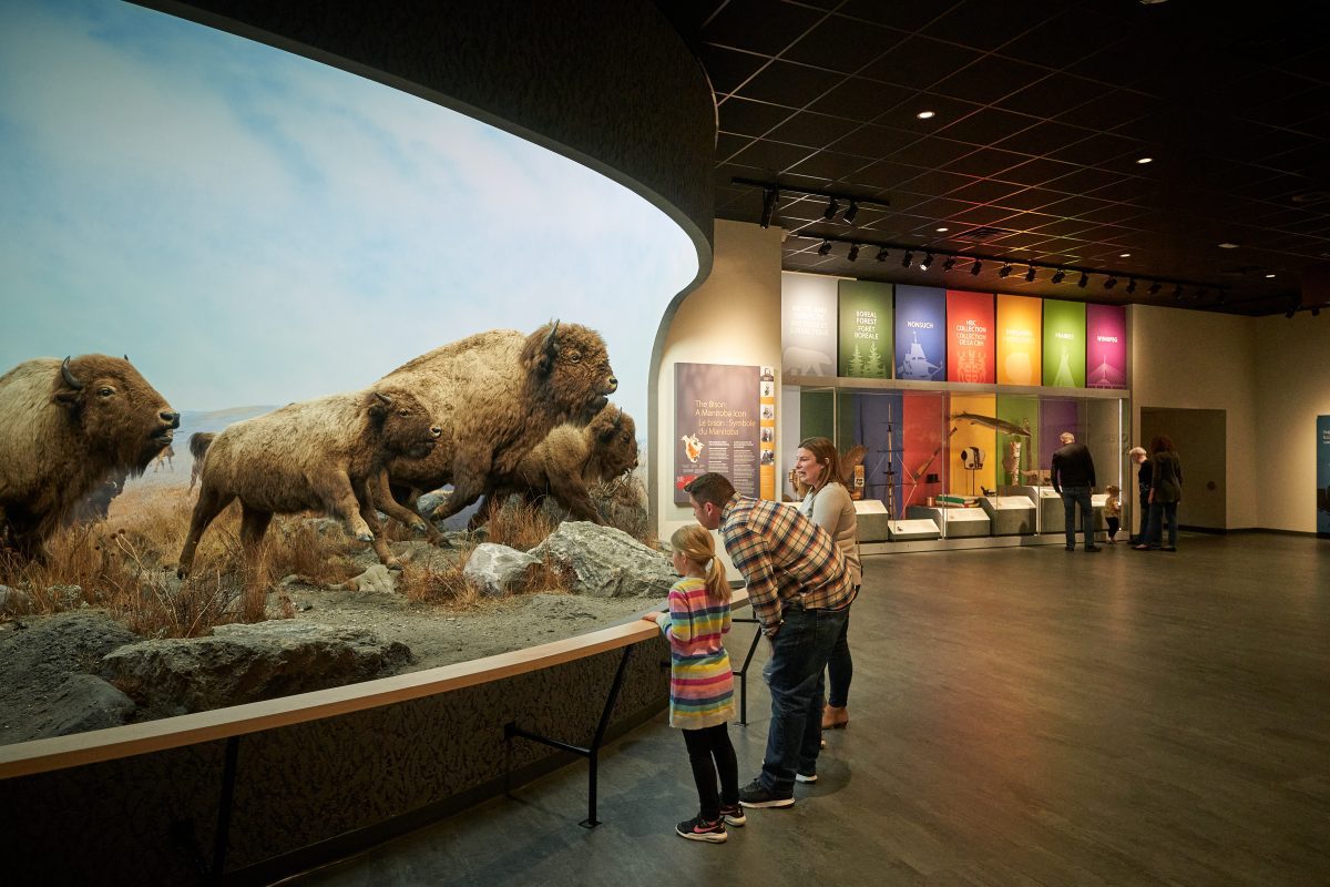 Une immersion dans la nature sauvage du Manitoba