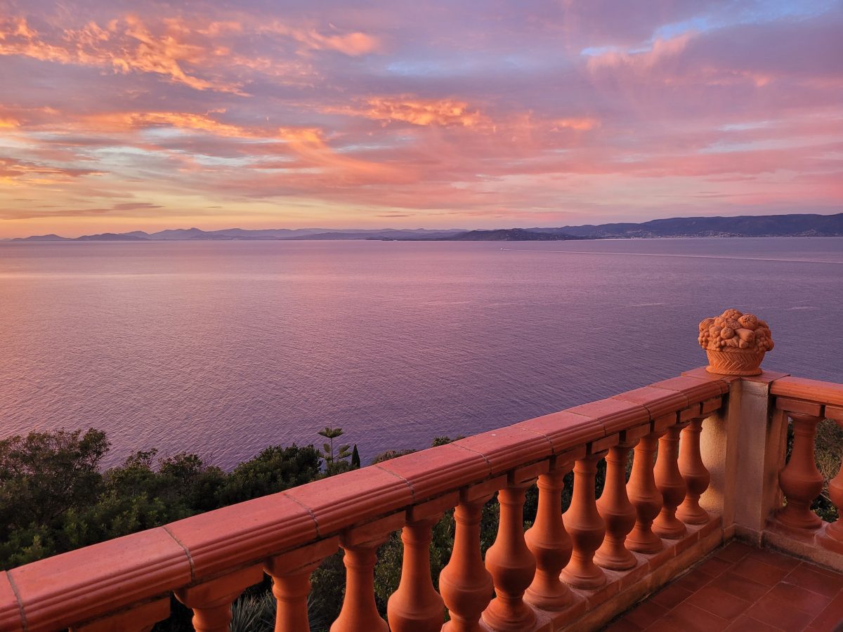 20230112_172531-236d0467d49362ed8635a926e2e27225