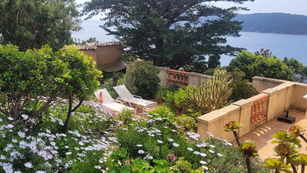 20250408_144709-6f7ec8b4be9a9ab6fc83660790a10bde