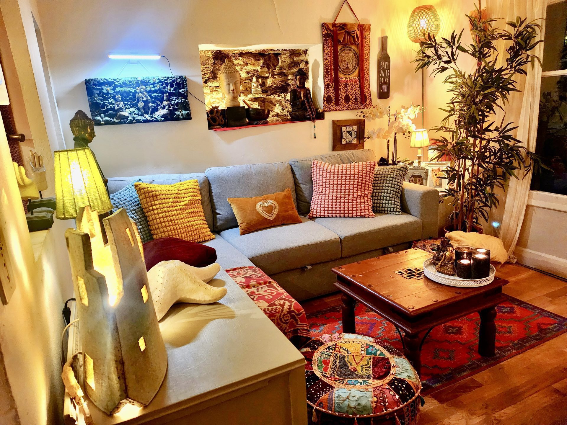 20250217_194329-120e5777fb216496e5205fb1628fffa3