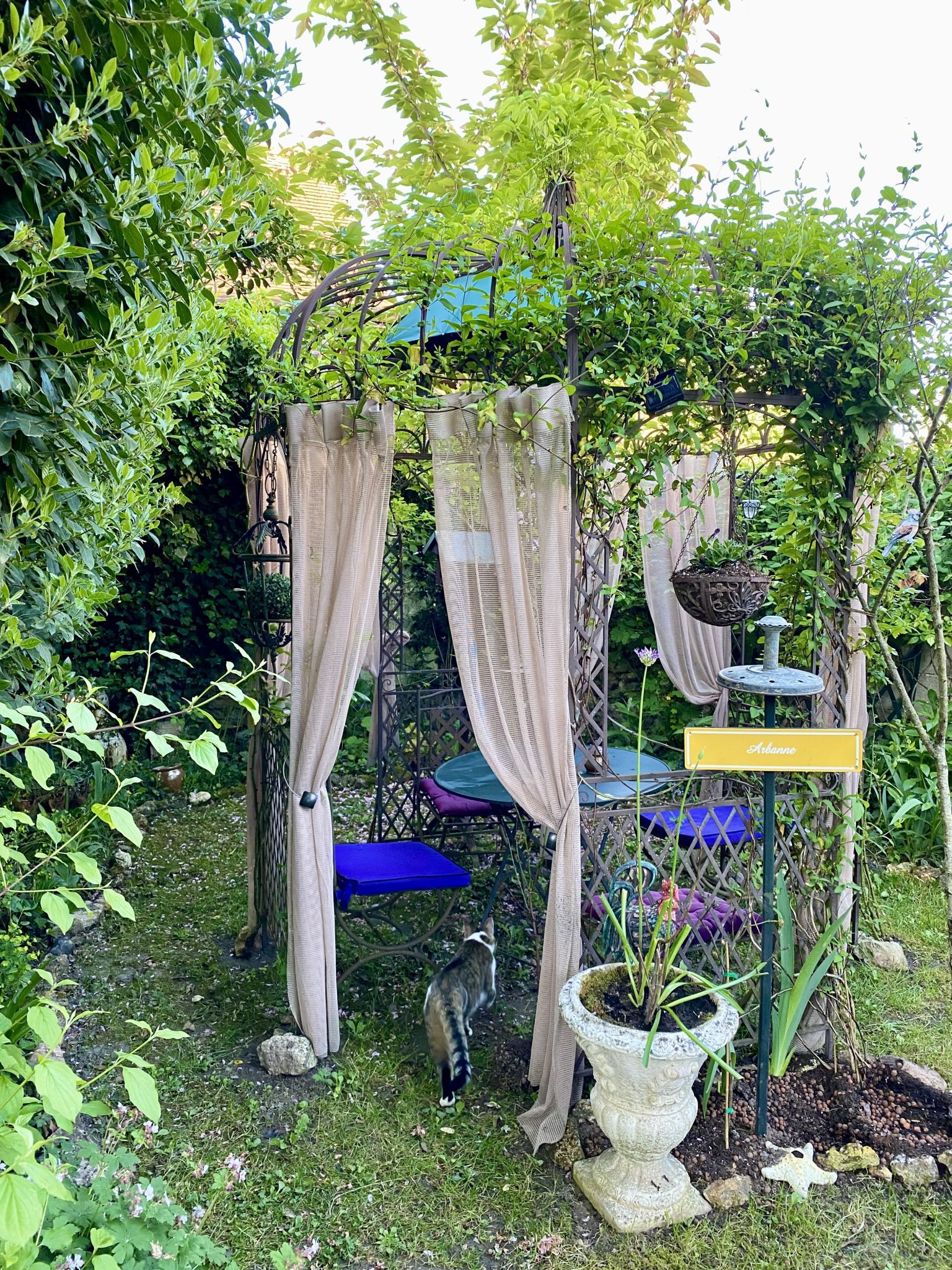 IMG_4498-6a2699a5e0f09937faa6b995166ed4e6