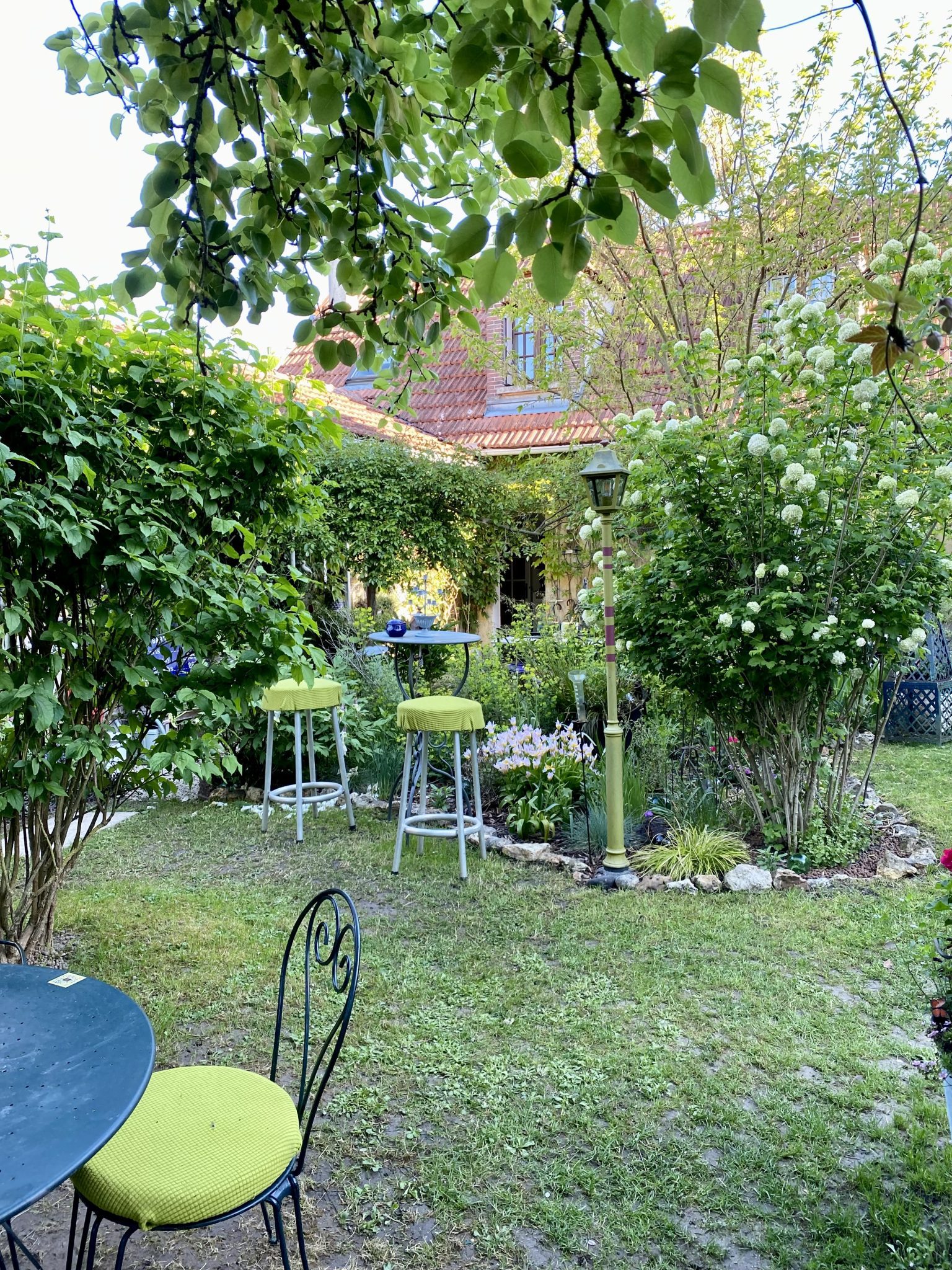 IMG_4501-428db5badb3edaa175d3f235548791a6