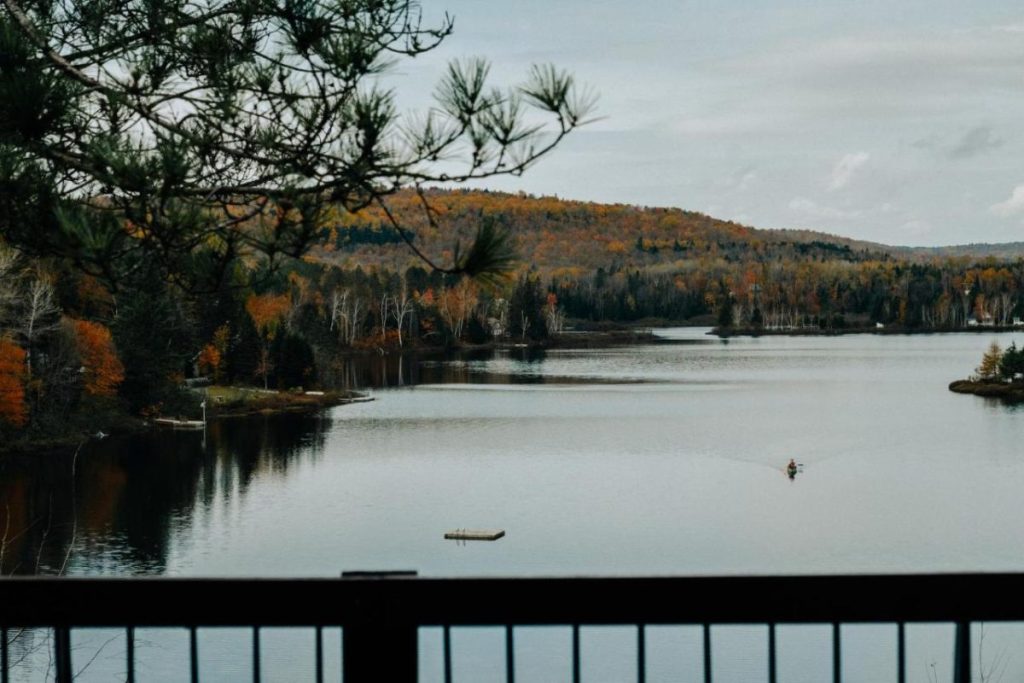 Une localisation exceptionnelle entre lac et forêt