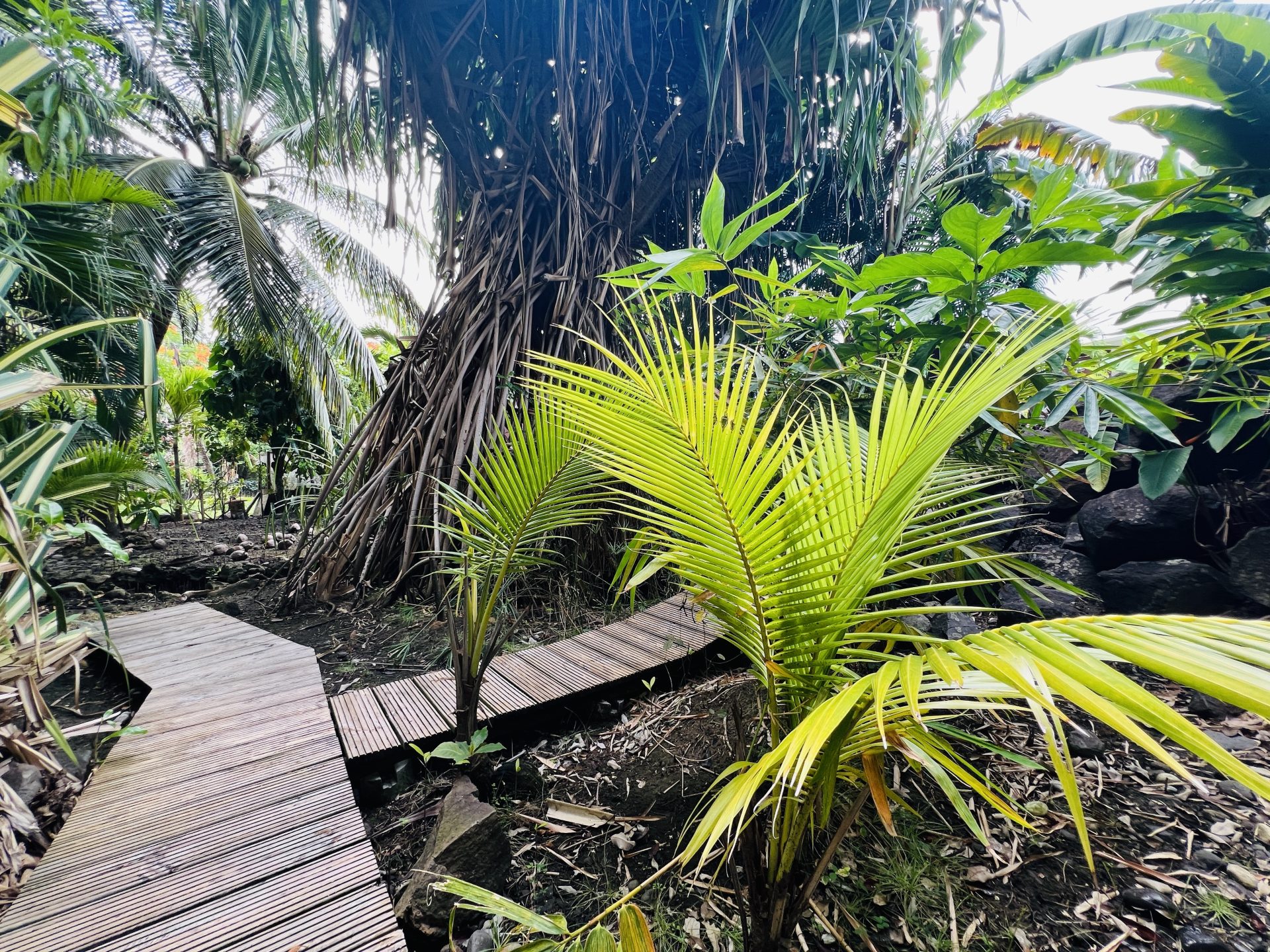 IMG_7597-5aceaa48e2ad583724a2aa155e3441fb