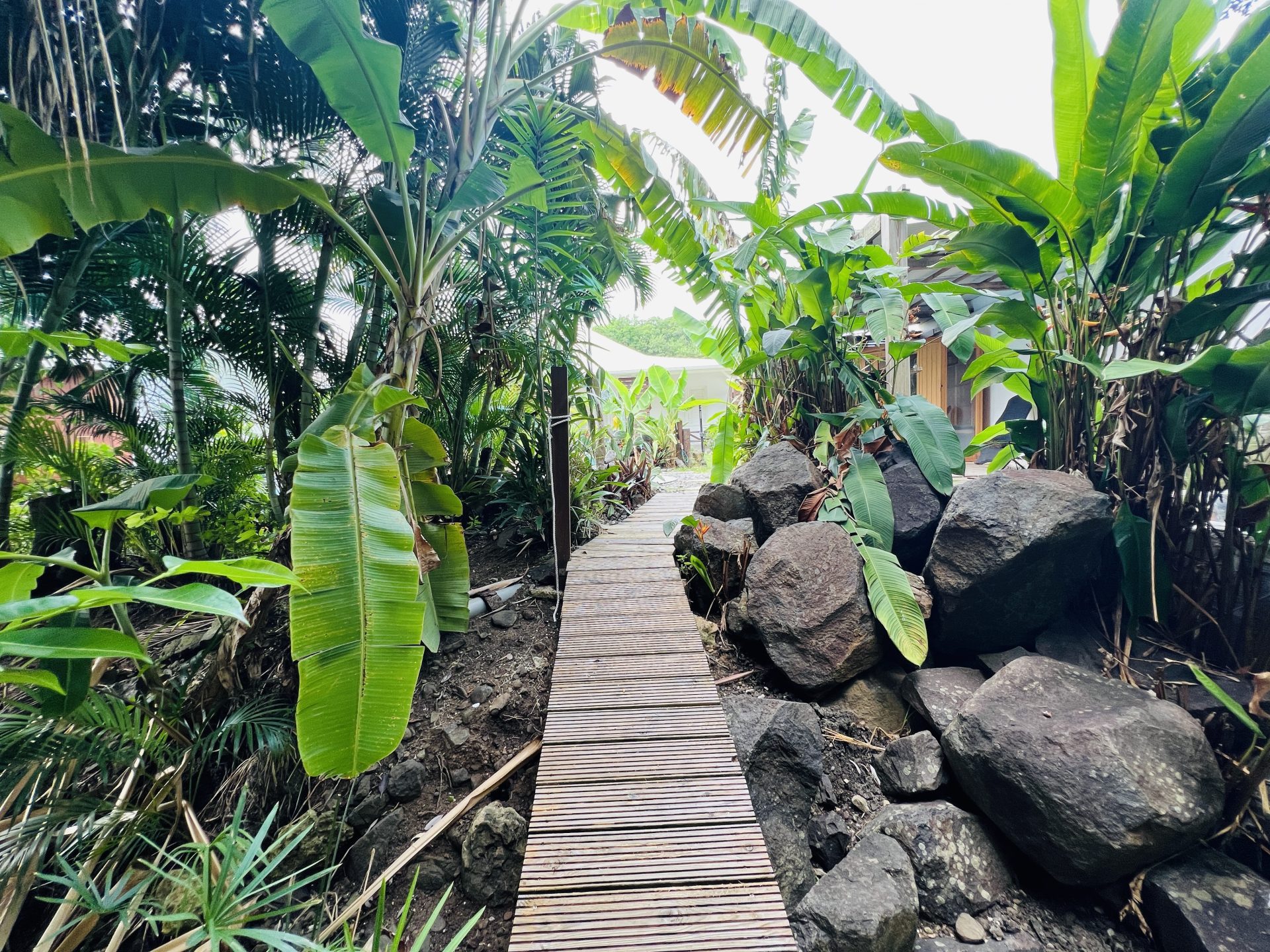 IMG_7598-780393a743cd53c9428e61946c13e3e5