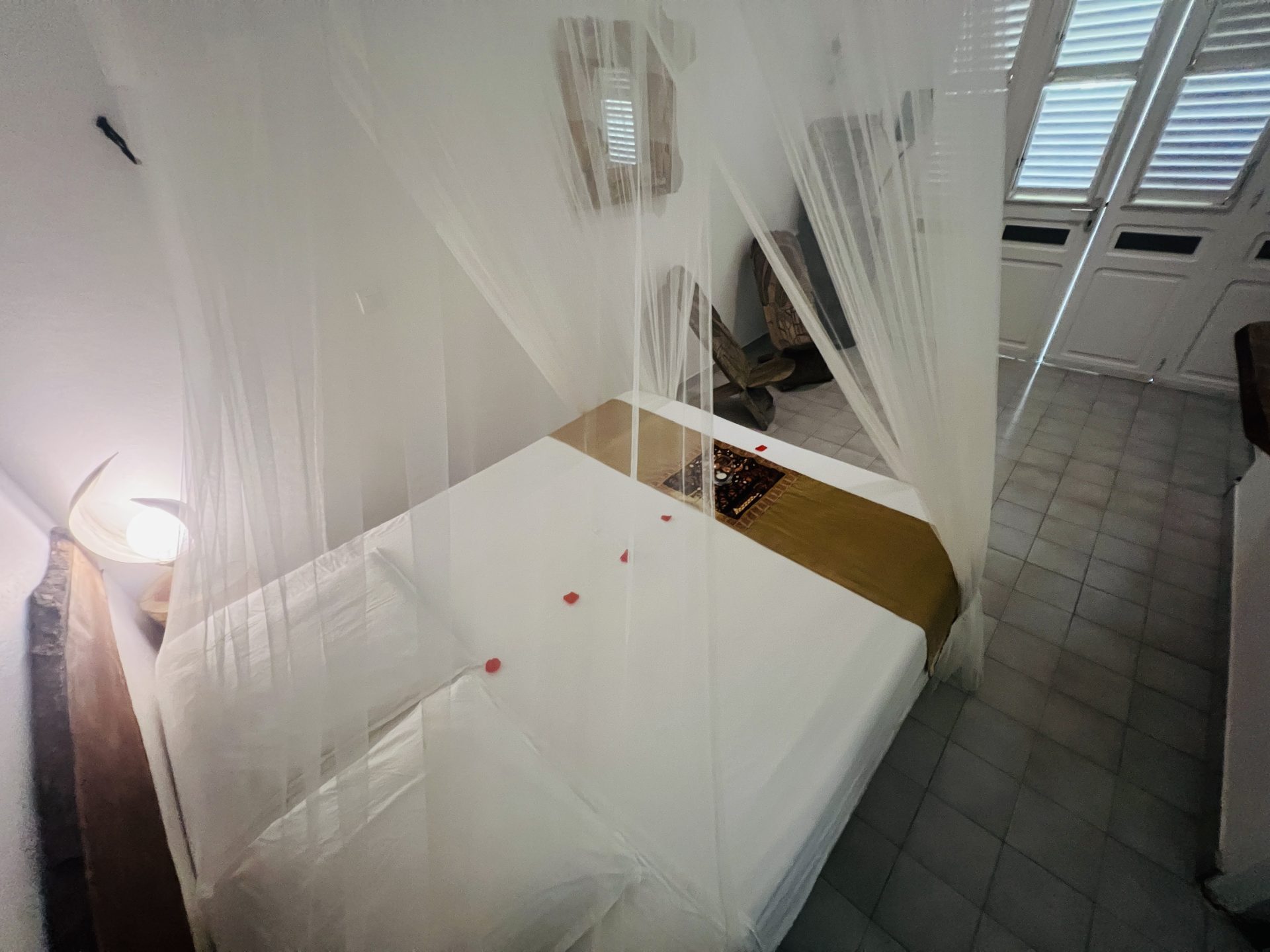 IMG_8806-cd1e6bce9fbdf2fcb2f83870108192d1