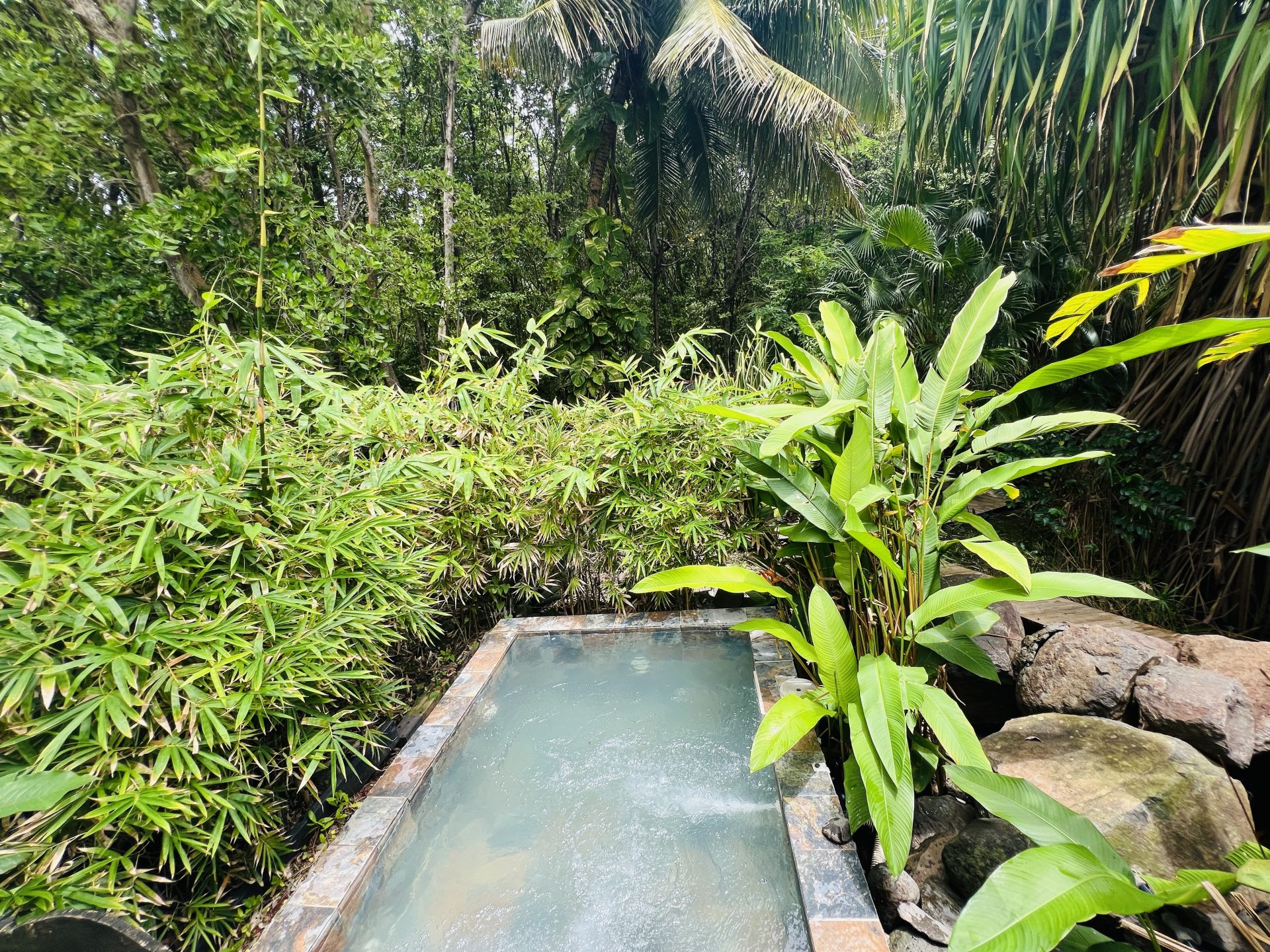 IMG_8824-120564bad189fe1ae0a02141daa867e0