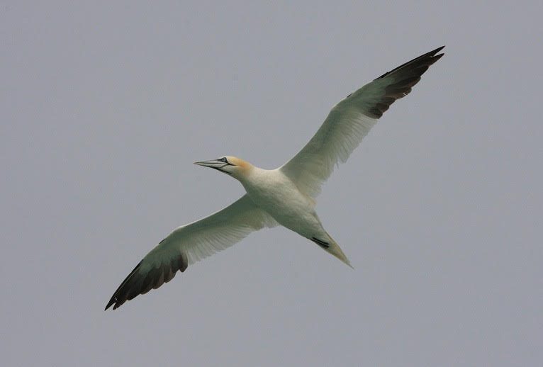 480429013_613680328084034_6607527513677186580_n