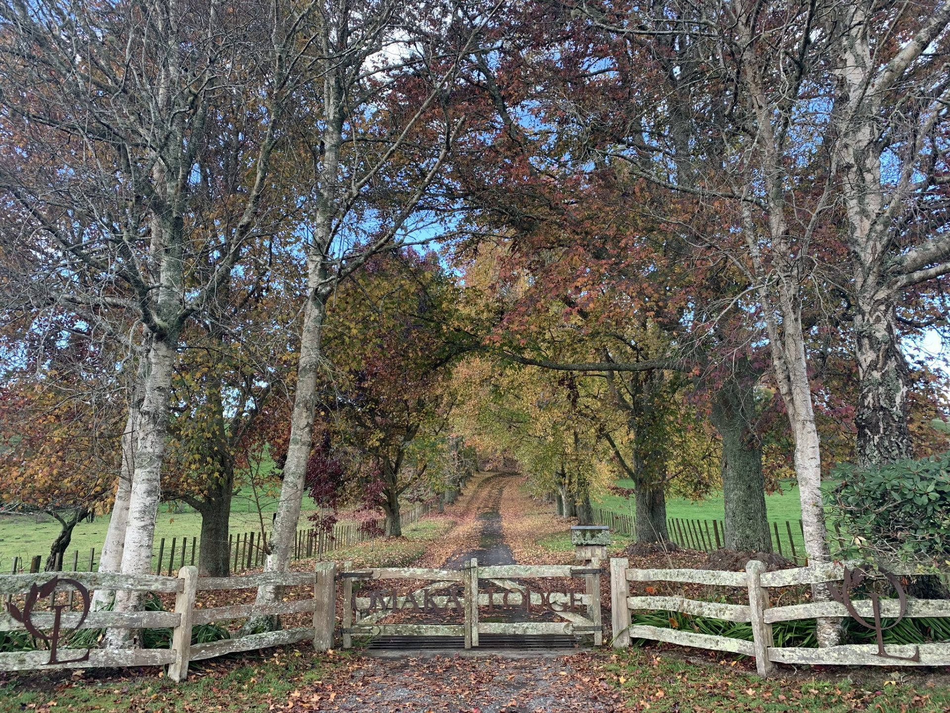 Omaka-Lodge-Grounds-34