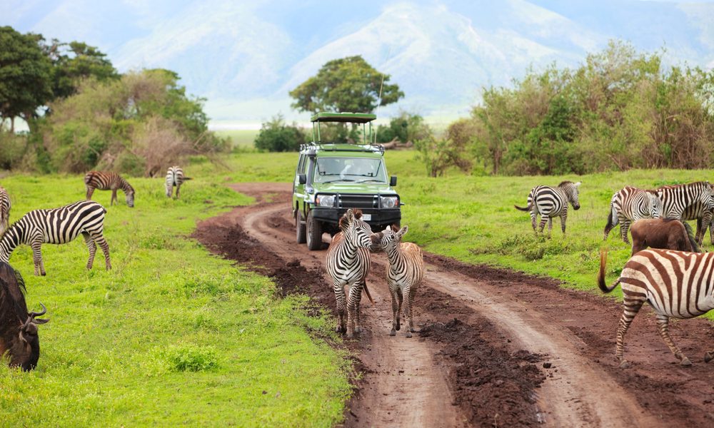 Safari en Tanzanie : les endroits les plus suggestifs à visiter