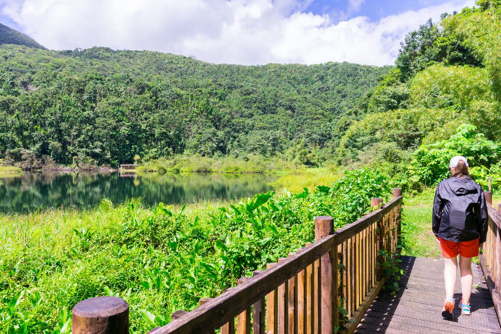 Conseils pratiques pour la visite