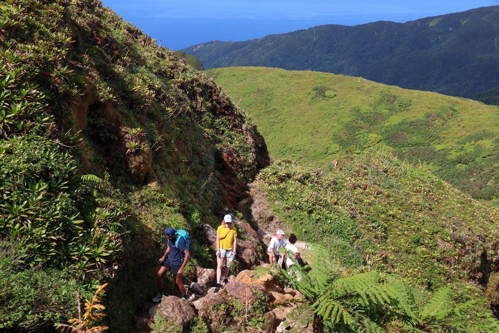 Histoire et activité volcanique