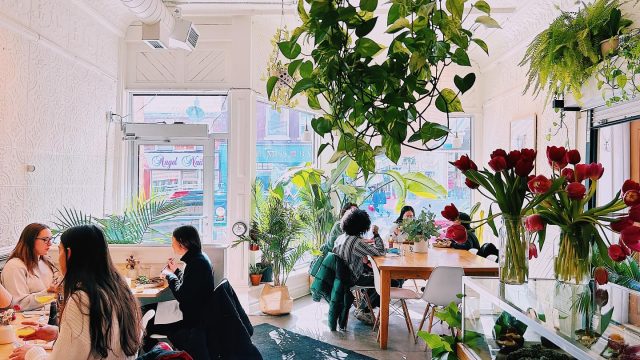 498263132_18508546198058913_8419148098805306394_n