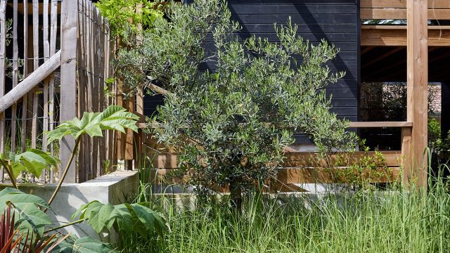 PulpGalerie_0425_25_©narophoto_web-3