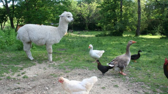 514051751_10017694194975170_3181021028134026601_n