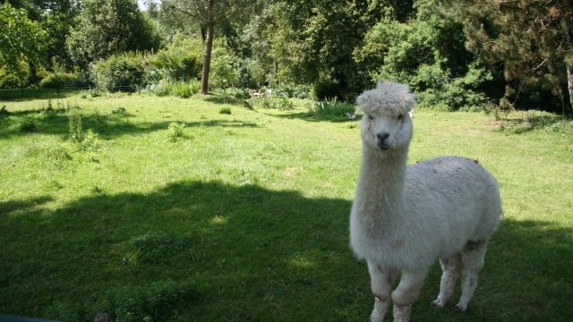 514359235_10017694204975169_3773186073938861372_n