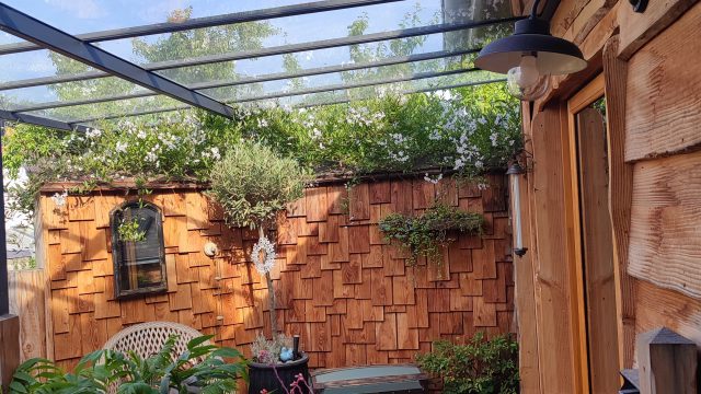 IMG_20230530_183327-1