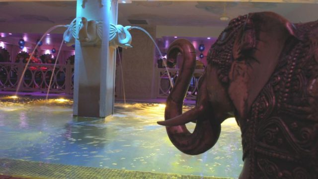 9575cc_654b4a62d2e54f87a499620b81d0cf88