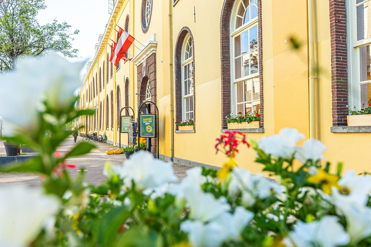 Gouda, capitale historique du fromage