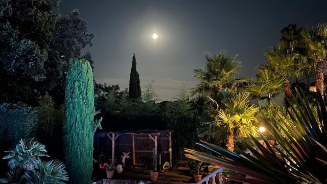 2344b6a0-01cd-4f40-8b44-f2dc27f2357e