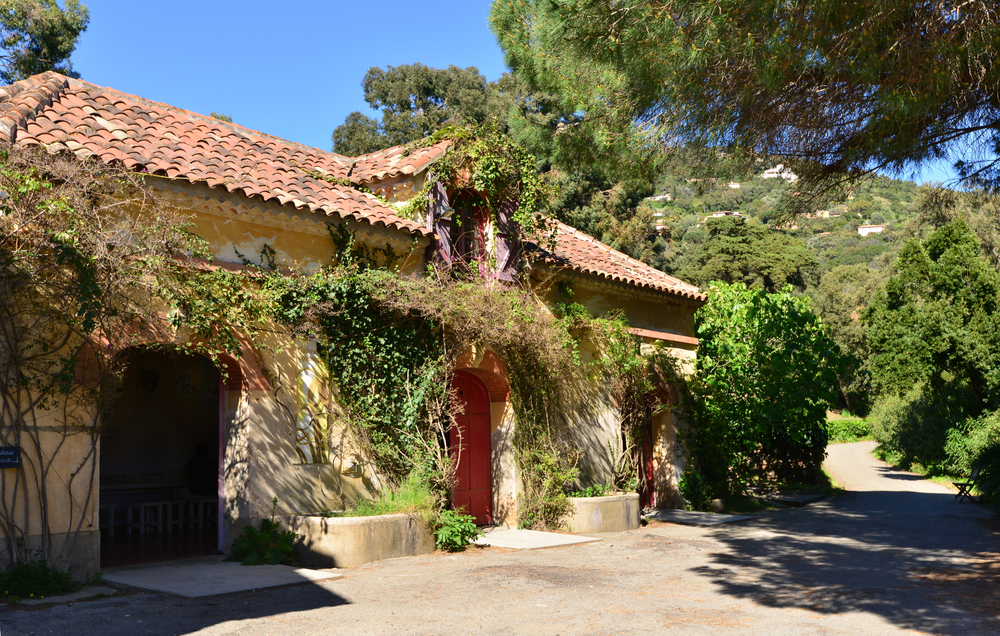 Domaine du Rayol : voyage méditerranéen à travers les continents