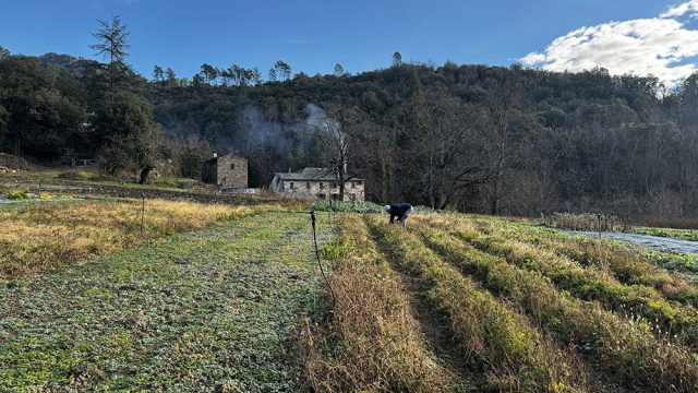 IMG_7384-maison-monts-bleus-restaurant-cevennes