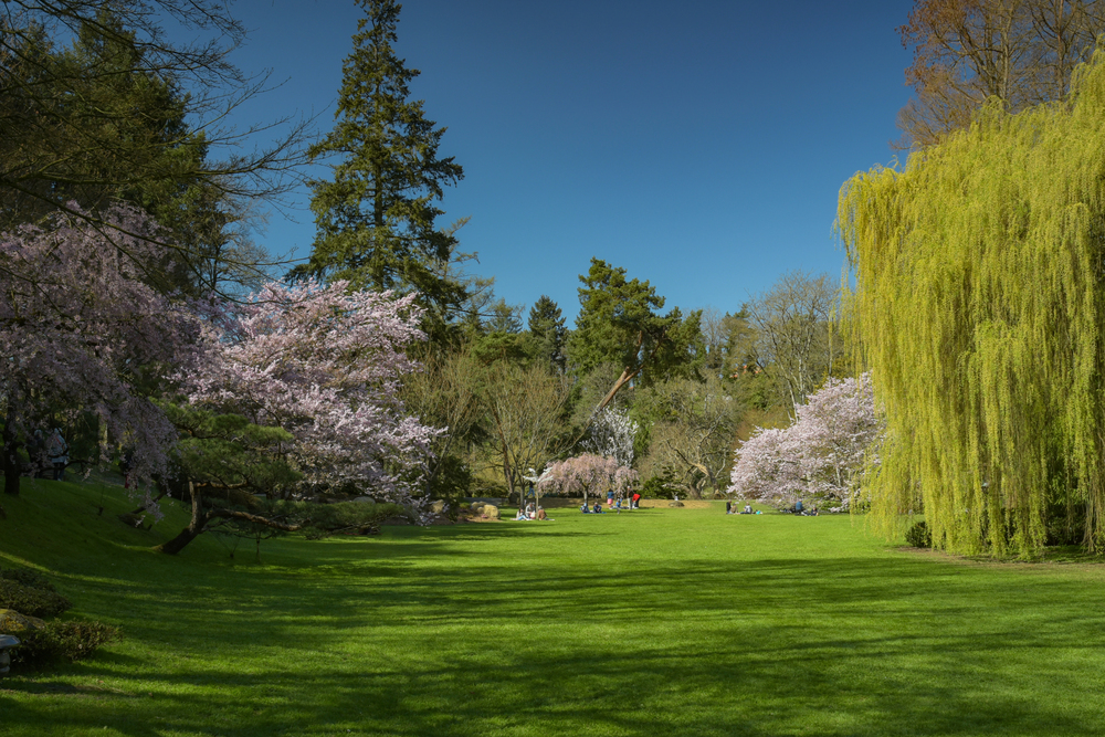 Parc Oriental de Maulévrier : zen et art des jardins japonais