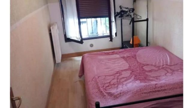 Screenshot_20260322_193336_Pulse