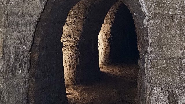 d03dd14e-d644-43dc-a2b5-399c9c4dd983