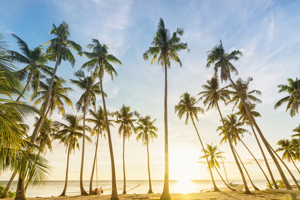 Quand visiter Cebu, Philippines